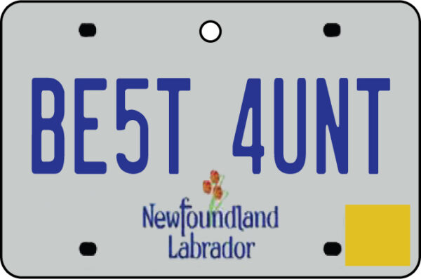 Newfoundland And Labrador - Best Aunt