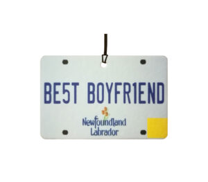 Newfoundland And Labrador - Best Boyfriend