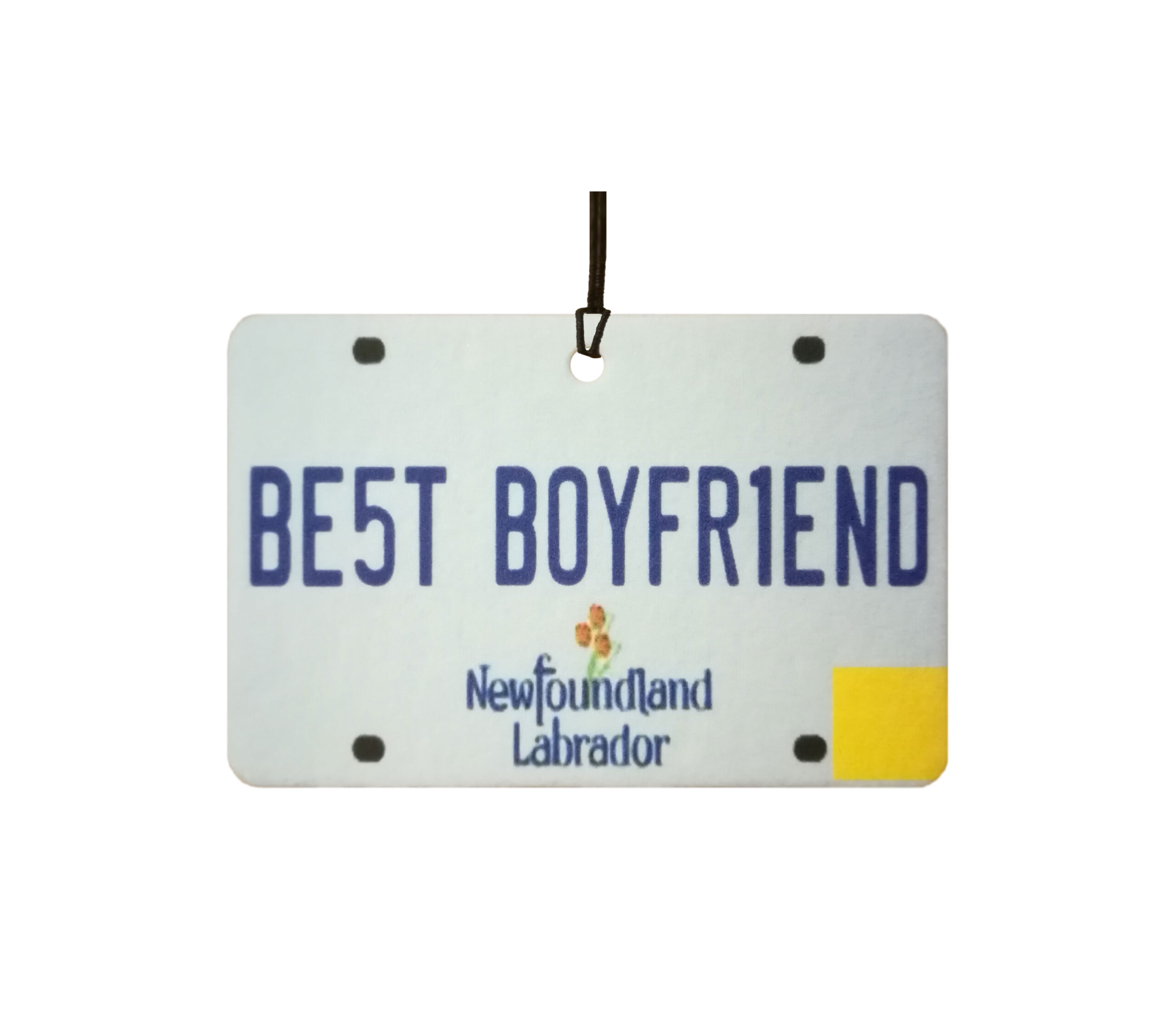 Newfoundland And Labrador - Best Boyfriend