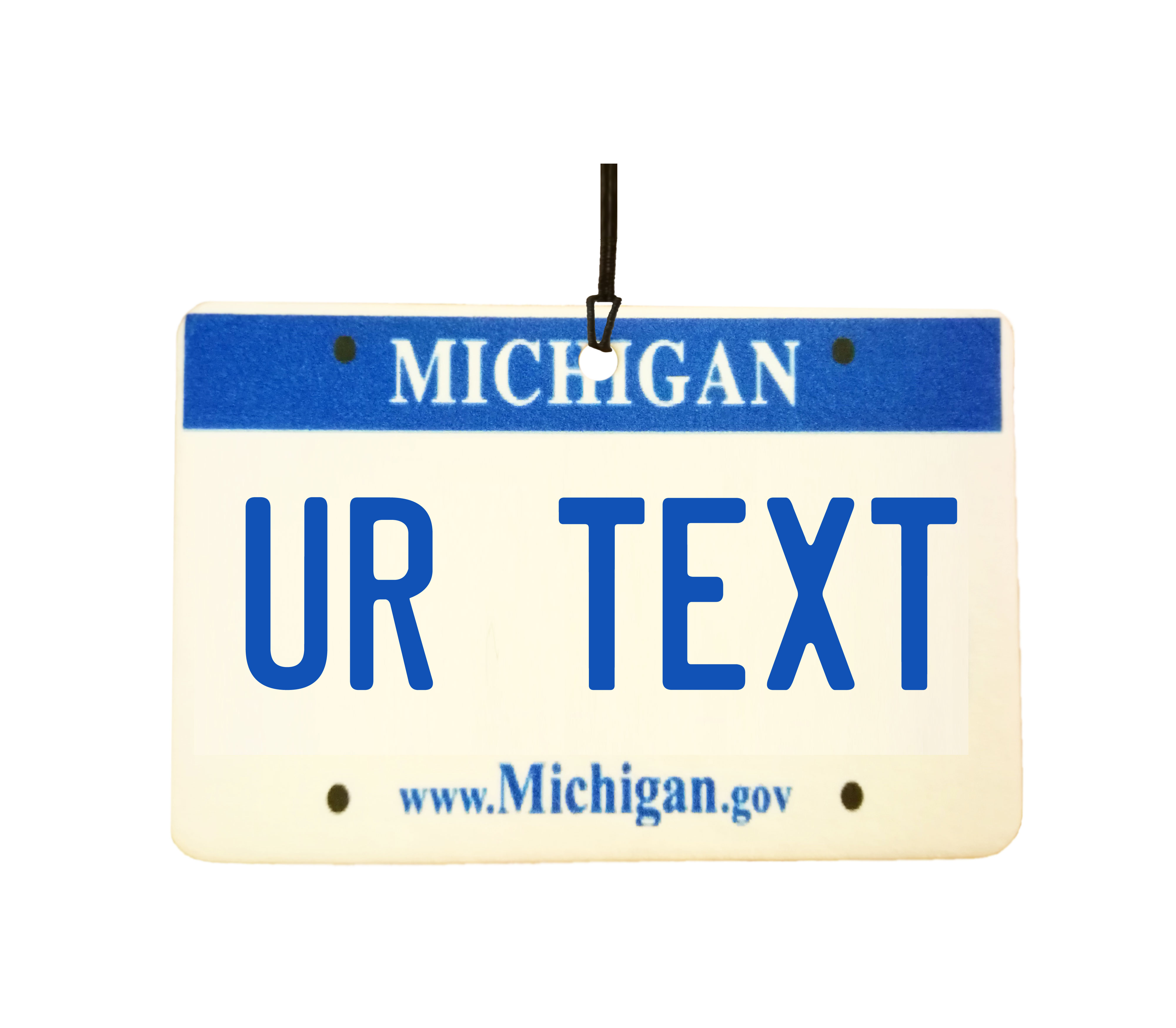 Personalised Michigan License Plate