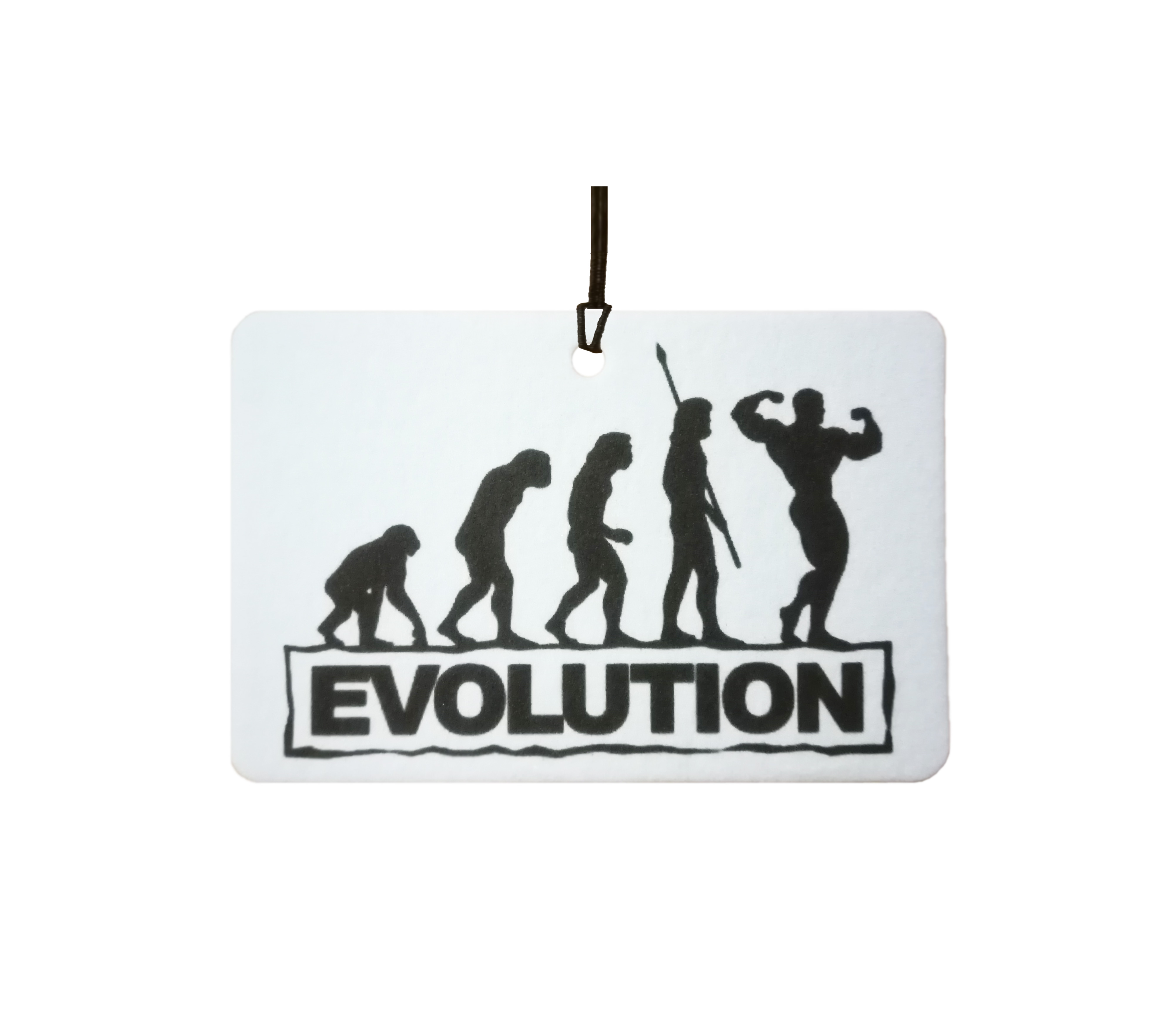 Body Build Evolution