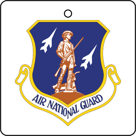 US Air National Guard Emblem