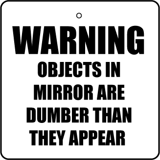 Warning - Objects In Mirror Are Dumber Than They Appear