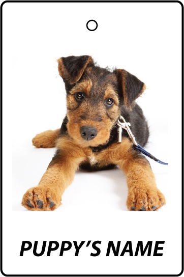 Personalised Airedale Terrier Puppy