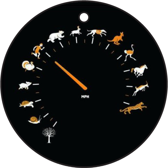 Animal Speedometer