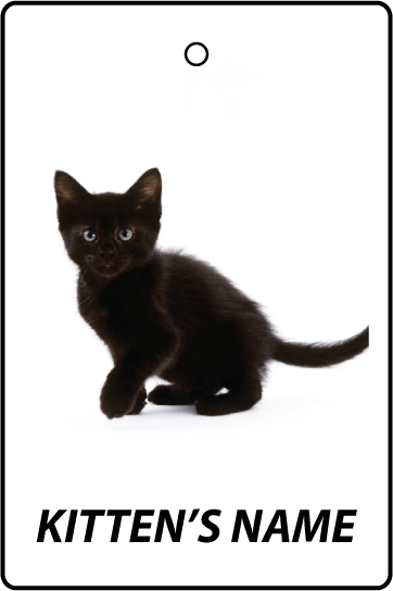 Personalised Black Kitten