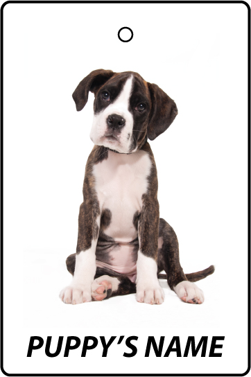 Personalised Boxer Puppy