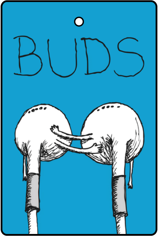 Buds