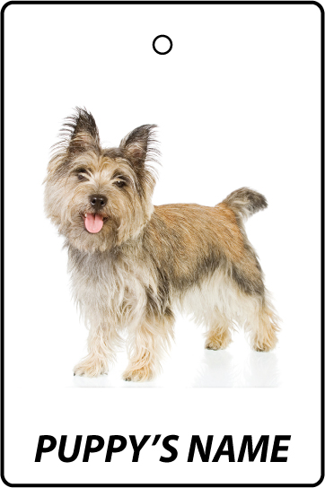 Personalised Cairn Terrier Puppy
