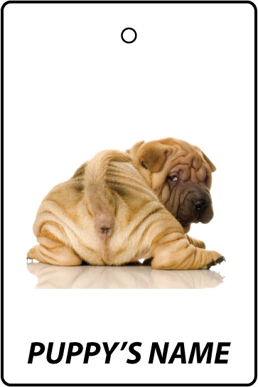 Personalised Chinese Shar Pei Puppy