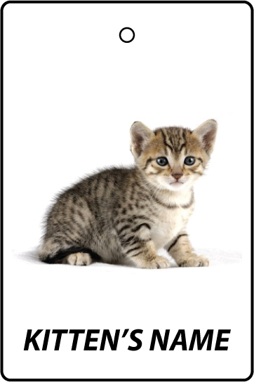 Personalised Egyptian Mau  Kitten