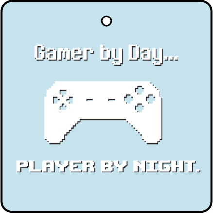 Gamer By Day