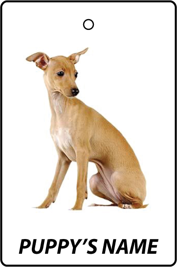 Personalised Greyhound Puppy