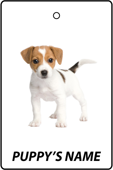 Personalised Jack Russell Puppy