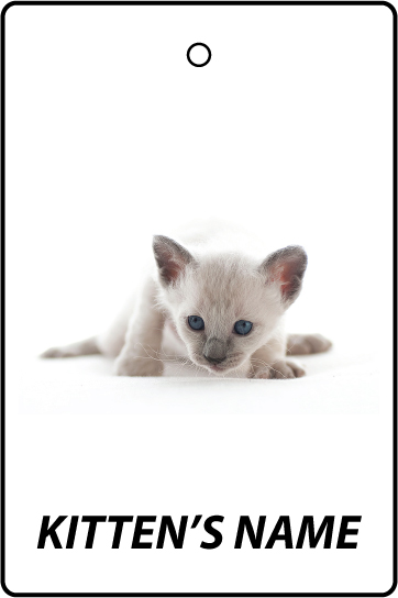 Personalised Laperm Kitten