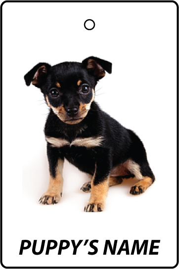 Personalised Miniature Pinscher Puppy