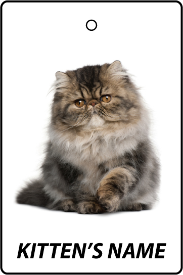 Personalised Persian Kitten
