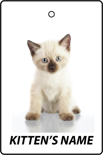 Personalised Siamese Kitten