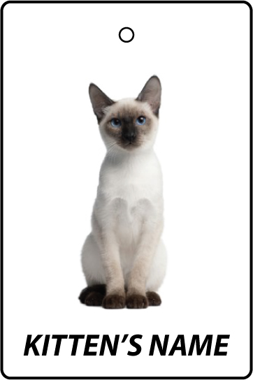 Personalised Thai Kitten