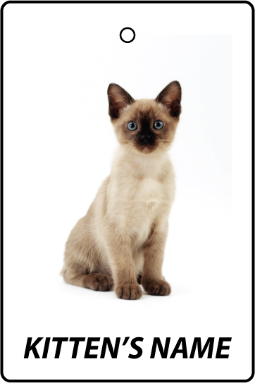 Personalised Tonkinese Kitten