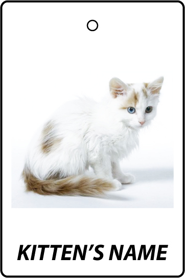 Personalised Turkish Van Kitten