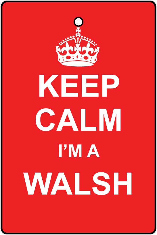 Keep Calm I'm  A Walsh