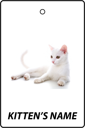 Personalised White Kitten