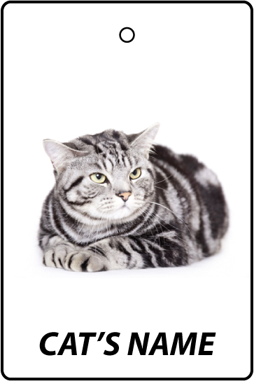 Personalised Cat's Name American Shorthair