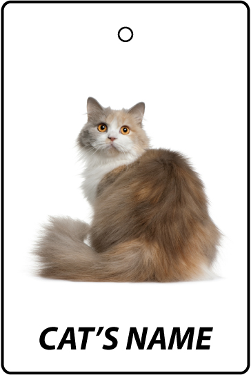Personalised Cat's Name British Longhair