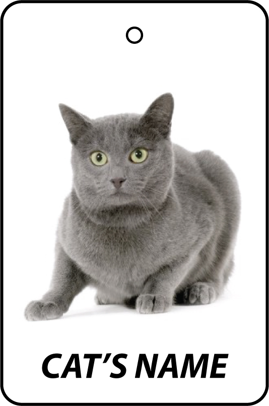 Personalised Cat's Name Chartreux