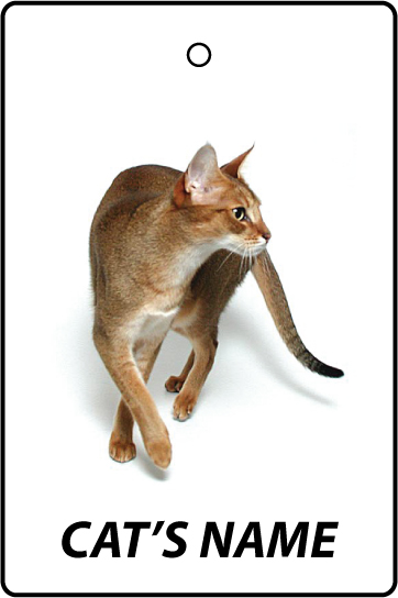 Personalised Cat's Name Chausie