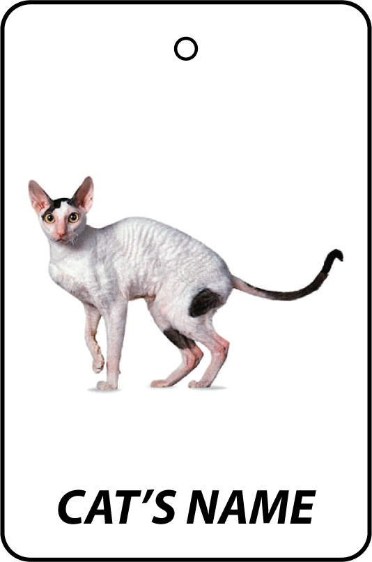 Personalised Cat's Name Cornish Rex