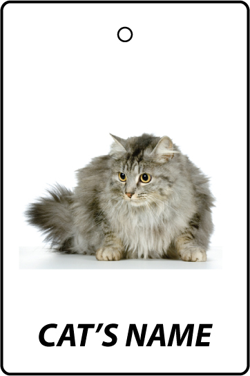 Personalised Cat's Name Nebelung