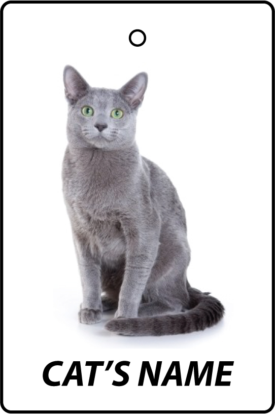 Personalised Cat's Name Russian Blue