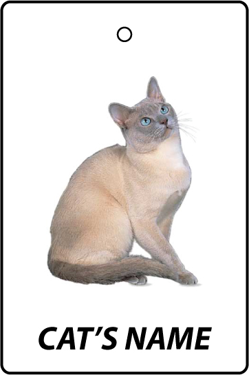 Personalised Cat's Name Tonkinese