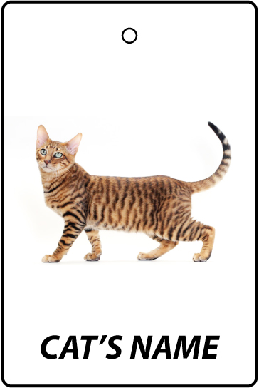 Personalised Cat's Name Toyger