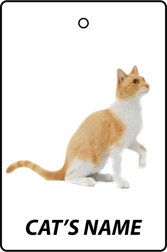 Personalised Cat's Name Ginger And White Cat